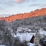 Waldblick Glatt Apartament *
