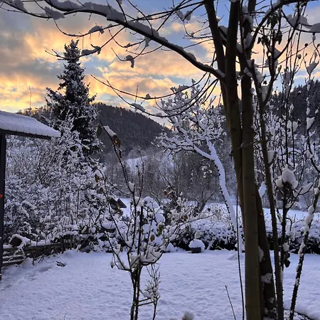 Waldblick Glatt *