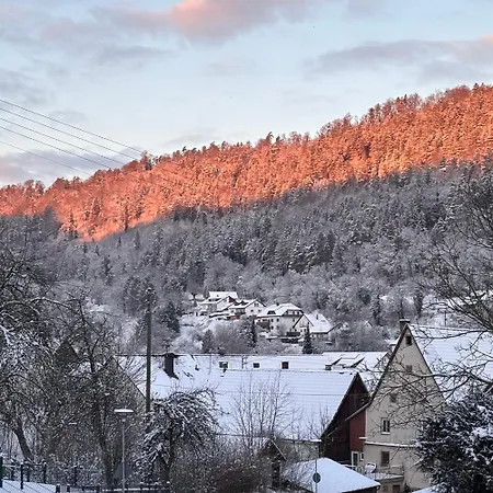 Waldblick Glatt Daire *
