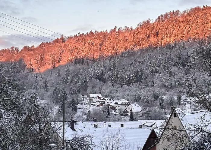 Waldblick Glatt Апартаменты *